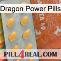 Dragon Power Pills 43